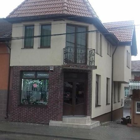 Casa Claudia Ξενοδοχείο Sangeorgiu de Padure Εξωτερικό φωτογραφία